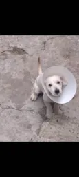 Bebê