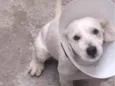 Bebê