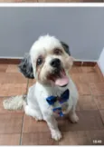 Bebe