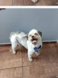 Bebe