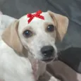 Suzi 