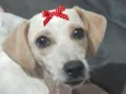 Suzi 
