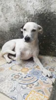 Lua