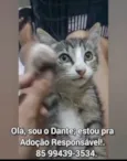 Dante.