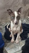 Eros