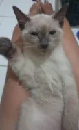 Théo. 