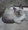 Théo. 