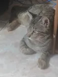 Neutro