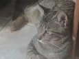 Neutro