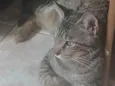 Neutro