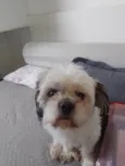 Théo