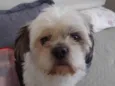 Théo