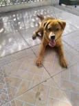 Billy