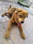 Billy