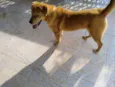 Billy