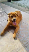 Billy 