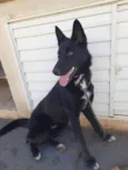 Kira