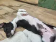Lucky 