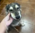 Nalla