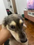 Nalla