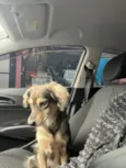 Nalla