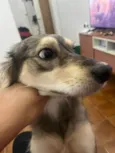 Nalla