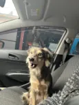 Nalla