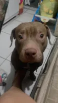 Andressa 