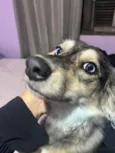 Nalla