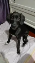 Brisa
