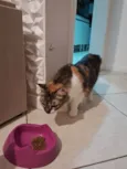 Mia