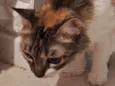 Mia