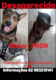 Thor