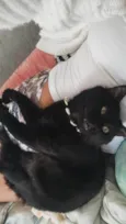 Bolinha