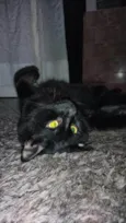 Bolinha
