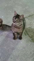 Tom