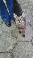 Tom