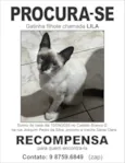 Lila