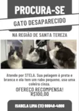 Stela/Telinha