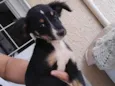 Lulu