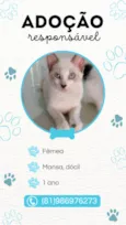 Mimi