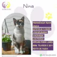 Nina