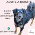 Brigite