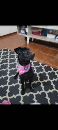 Meg