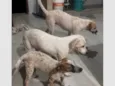 Não tem nomes definidos 