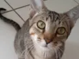 Tom