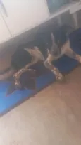 Não tem 