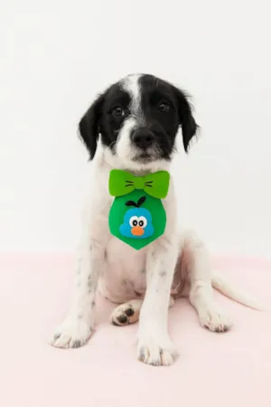 Cachorro raça SRD-ViraLata idade 2 a 6 meses nome Band