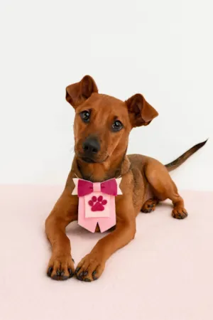 Cachorro raça SRD-ViraLata idade 2 a 6 meses nome Mila