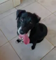 Magali